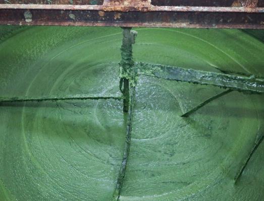 Savon d'Alep - Maison du Laurier